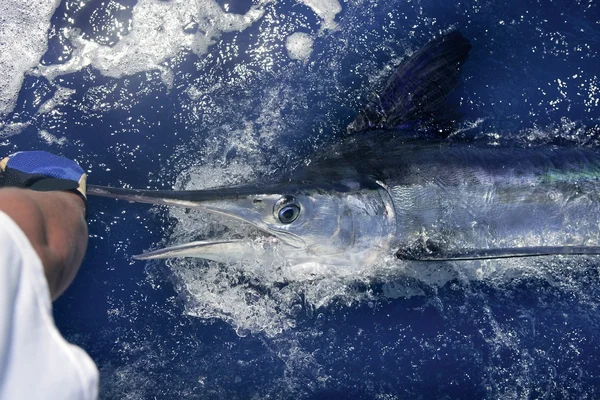 Atlantischer weißer Marlin Großwild-Sportfischen — Stockfoto