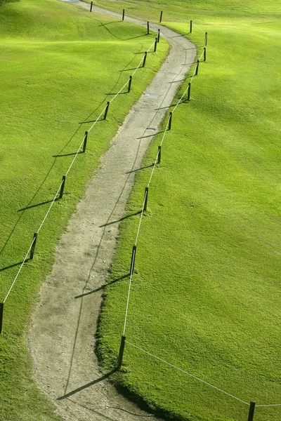 Grüne Wiese mit kurvenreicher Straße — Stockfoto