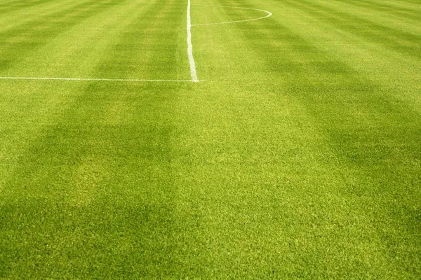 Pole golfowe zielona trawa wzgórze pole z otworami — Zdjęcie stockowe