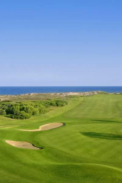 Campo de golf hierba verde cerca del mar océano — Foto de Stock