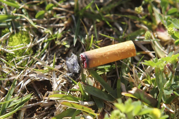 Cigarette fire hazard on forest grass macro detail — Stock Photo, Image