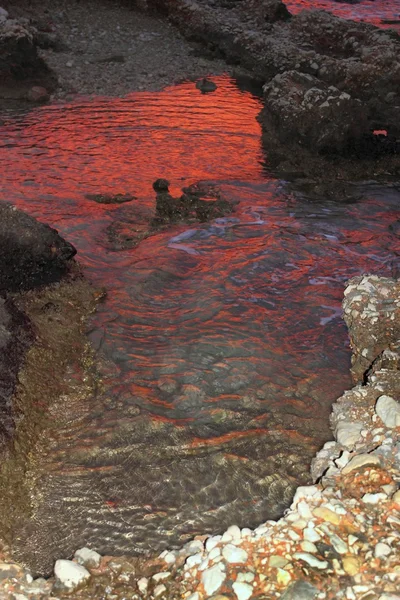 Глибоко червоний захід сонця вода рефлексія на калюжі — стокове фото