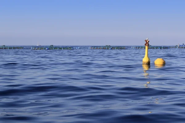 블루 오션 바다 수평선에 물고기 농장 — 스톡 사진