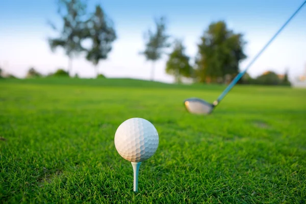 Golf tee ball club driver in campo di erba verde — Foto Stock