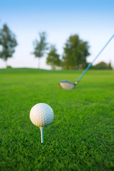 Golf tee bola clube motorista no campo de grama verde — Fotografia de Stock