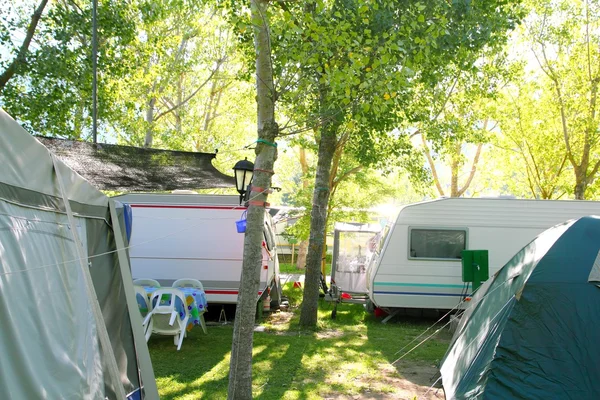 Camping tält husvagn i gröna träd utomhus — Stockfoto