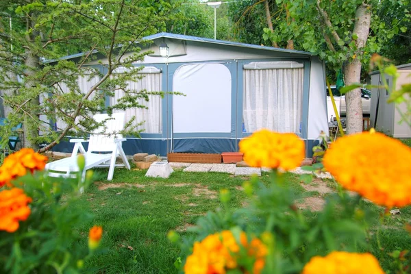 Camping park pejzaż obozu namiot żółte kwiaty — Zdjęcie stockowe