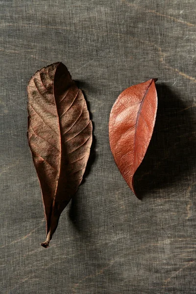 まだ秋の紅葉、暗い木製の背景、秋の画像 — ストック写真