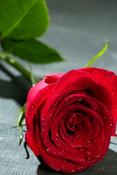 Czerwona róża makro nad ciemny czarny drewno — Zdjęcie stockowe