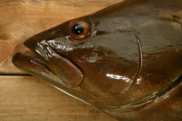 ハタの魚魚介類、木材上の漁獲 — ストック写真