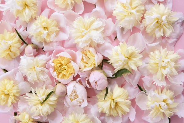 Kleurrijke roze en gele bloemen achtergrond — Stockfoto