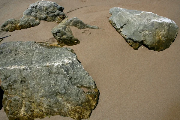 Big stones in the brown sand beach shore — Stock Photo, Image