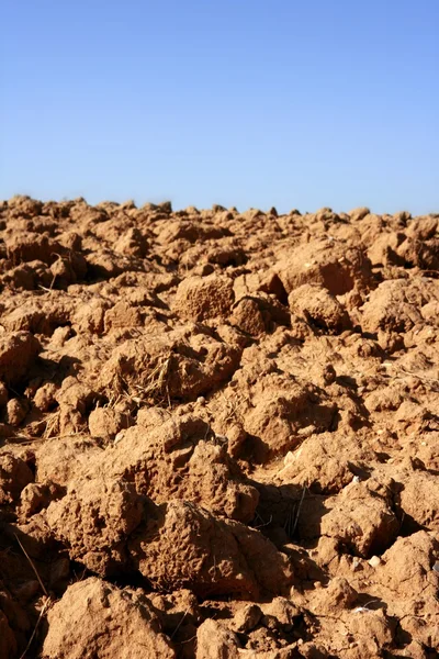 粘土红色纹理的农业土壤 — 图库照片