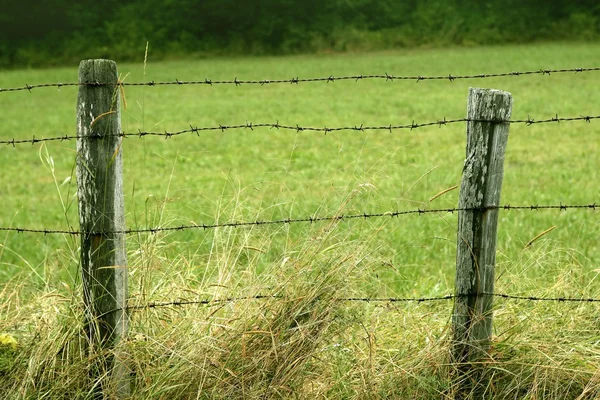 Зелений луг з дротовим сільським парканом — стокове фото