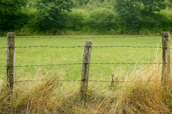 Prado verde com cerca rural com fio — Fotografia de Stock