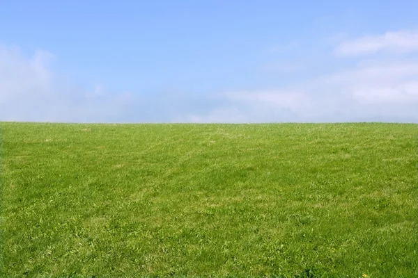 Green meadow horizon and blue sky — Stok fotoğraf