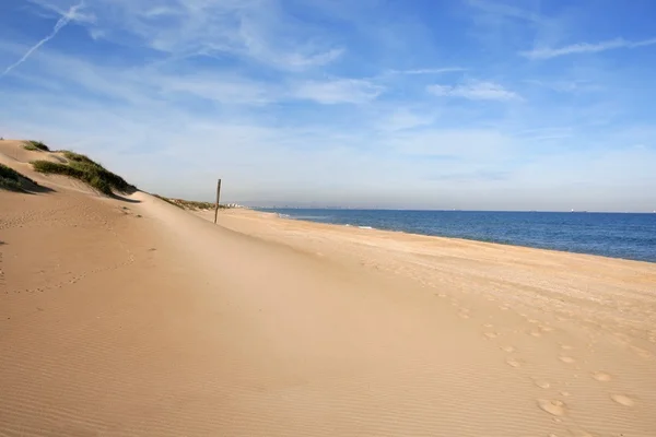 地中海海岸线上沙丘 — 图库照片