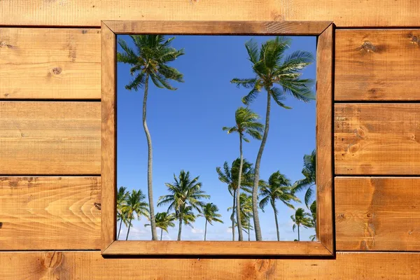 Tropical palm trees view from wooden window