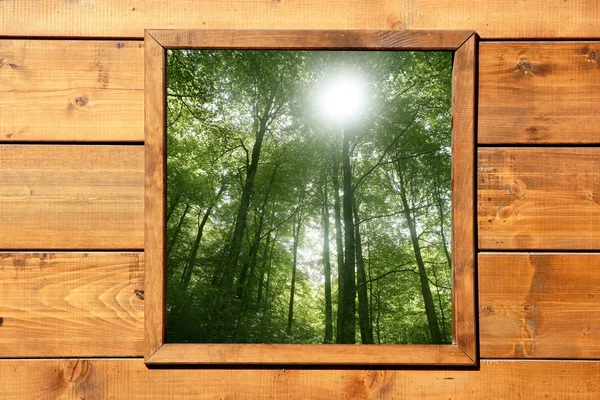 Janela de madeira selva verde floresta vista — Fotografia de Stock