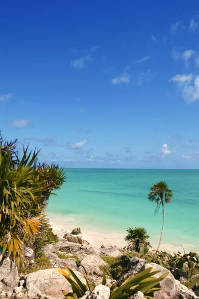 Tulum mayan riviera tropical praia palmeiras — Fotografia de Stock