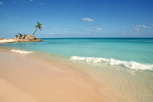 Tulum Μάγια Ριβιέρα τροπική παραλία φοίνικες — Φωτογραφία Αρχείου