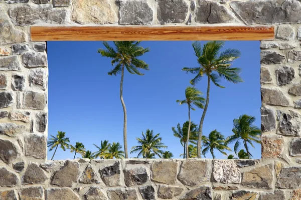 Stone masonry wall window tropical palm trees view — Stock Photo, Image