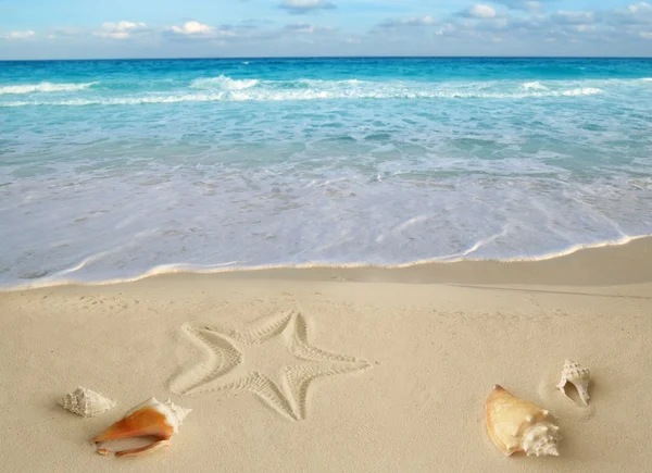 Sea shells starfish tropical sand turquoise caribbean — Stock Photo, Image