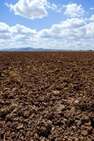 プラウ耕の茶色の粘土質フィールド青空地平線 — ストック写真