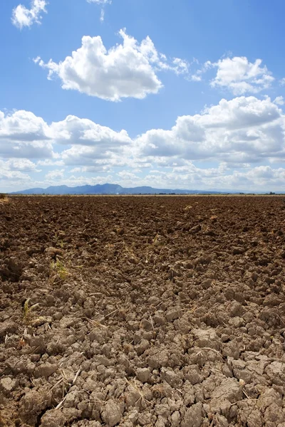 Plough plowed brown clay field blue sky horizon — Stock Photo, Image