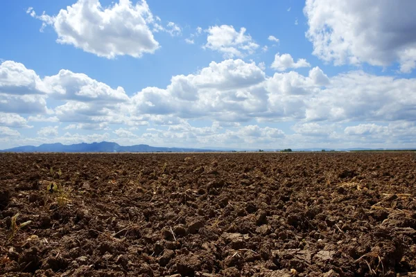 Plough plowed brown clay field blue sky horizon — Stock Photo, Image