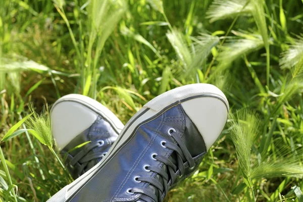 Zapatos de plata relajados que tienen campo de prado de descanso —  Fotos de Stock