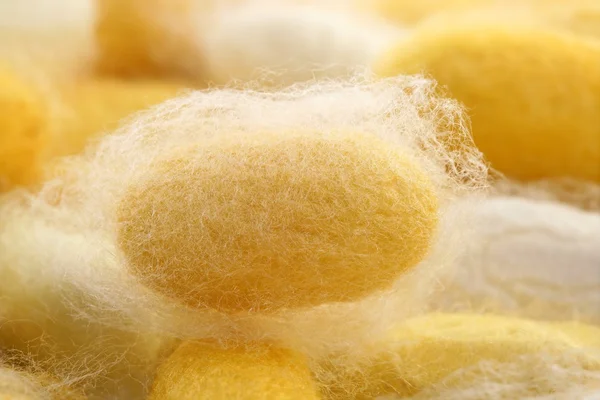 Gusano de seda macro detalle muchos gusano de seda —  Fotos de Stock