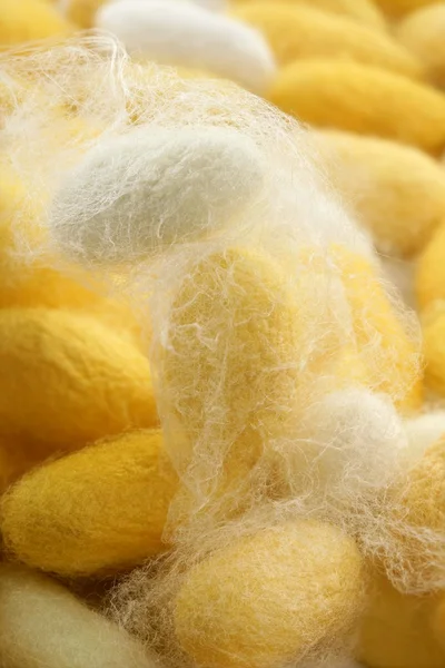 Gusano de seda macro detalle muchos gusano de seda —  Fotos de Stock