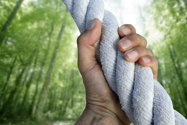 Άνθρωπος χέρι πιάσε λαβή αναρρίχηση σχοινί καταπράσινο δάσος — Φωτογραφία Αρχείου