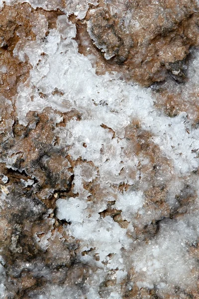 Sušené sůl na podlaze textury pozadí mořské — Stock fotografie