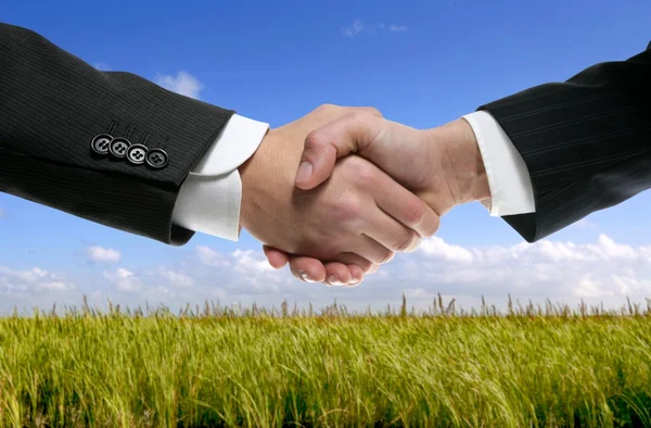 Партнеры по бизнесу пожимают друг другу руки на природе — стоковое фото