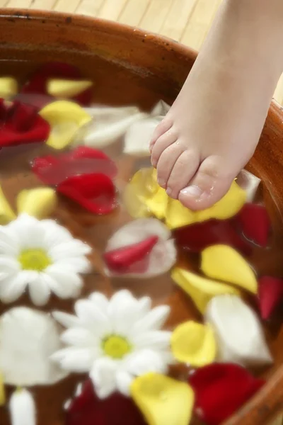 Aromaterapie, květiny nohy lázně, růžové okvětní — Stock fotografie