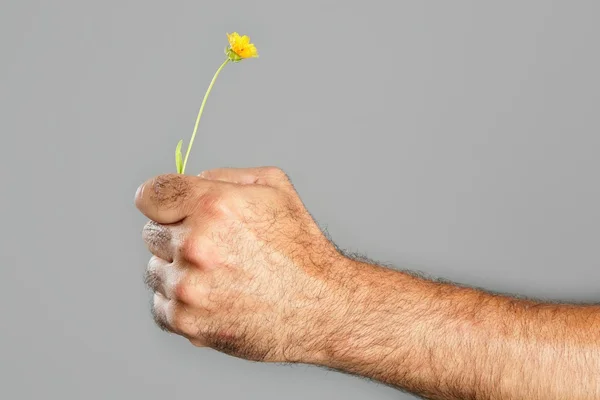 Concept and contrast of hairy man hand and flower — Stock Photo, Image