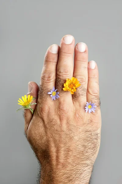 Konzept und Kontrast von haariger Hand und Blume — Stockfoto