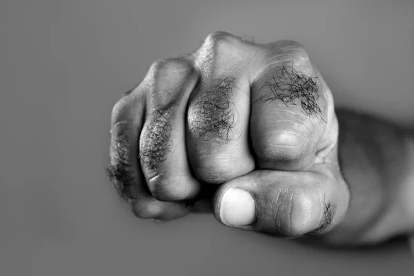 Hairy man fist closeup expression over gray — Stock Photo, Image