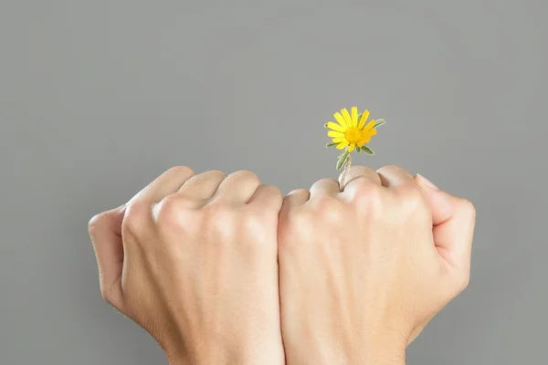 Kadın ellerinden büyüyen bitki kavramı — Stok fotoğraf