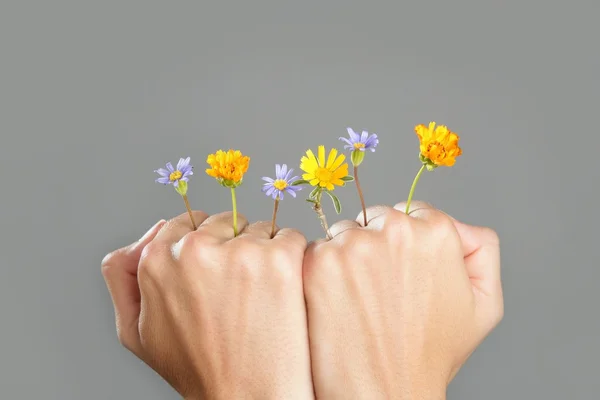 Концепция выращивания растений из женских рук — стоковое фото