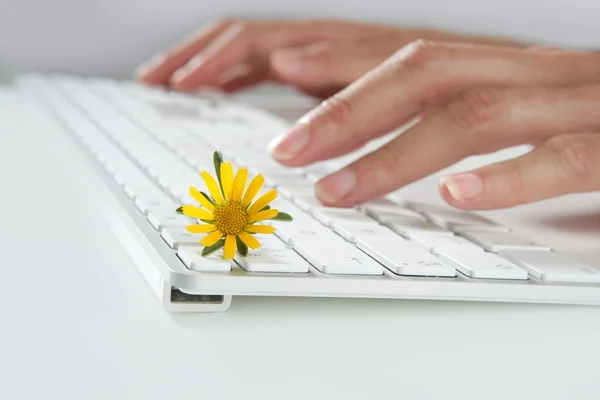 生态概念的女人手打字键盘 — 图库照片