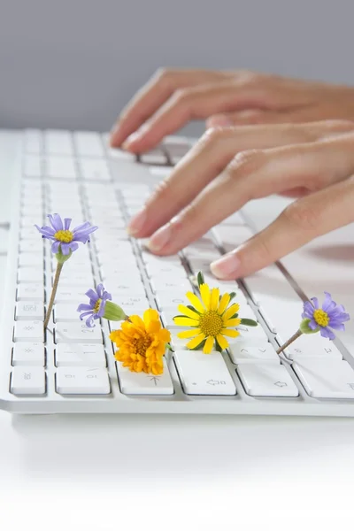 Ecologie concept van vrouw handen te typen toetsenbord — Stockfoto