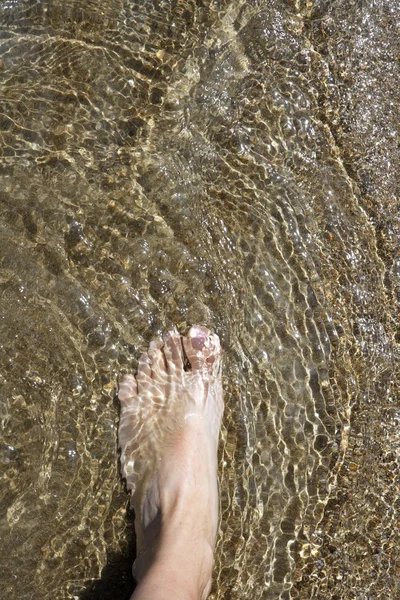 Playa turista pies caminando en la orilla aguas poco profundas —  Fotos de Stock