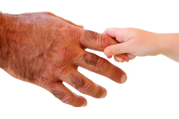 Маленький ребенок держит волосатого отца за руку — стоковое фото