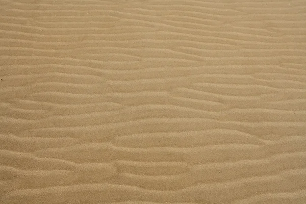 沙海滩波温暖的纹理背景 — 图库照片