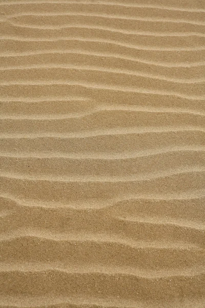 Spiaggia sabbia onde calda texture sfondo — Foto Stock
