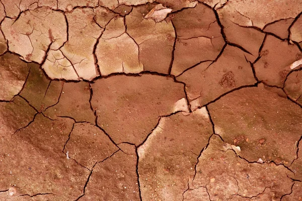 Clay sušené červené půdy, prasklé textury pozadí — Stock fotografie