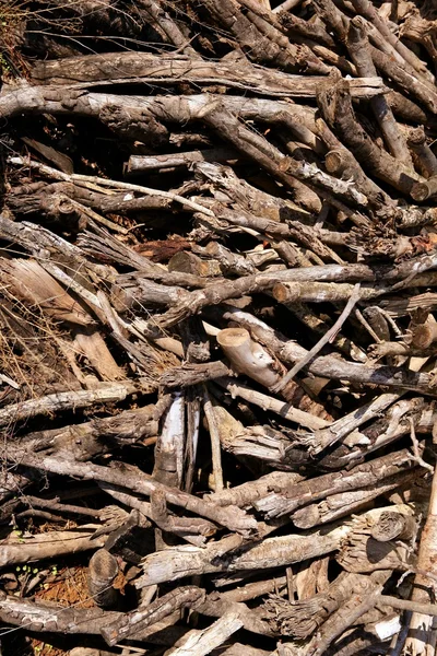 Yığın odun desen arka plan kahverengi kurutulmuş — Stok fotoğraf